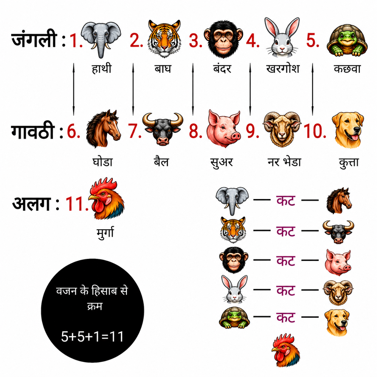 Animal Chart
